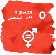 تحقيق المساواة بين الجنسين وتمكين كل النساء والفتيات