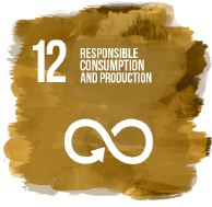 Responsible Consumption and Production